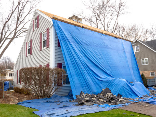 Professional Junk Removal in Richmond, IL